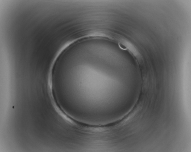 X0000114721084200910211342