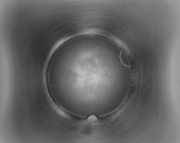 X0000114721086200910211342