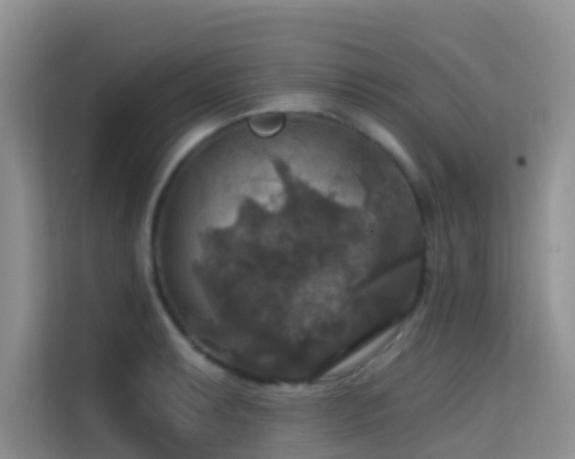 X0000114721087200910211342