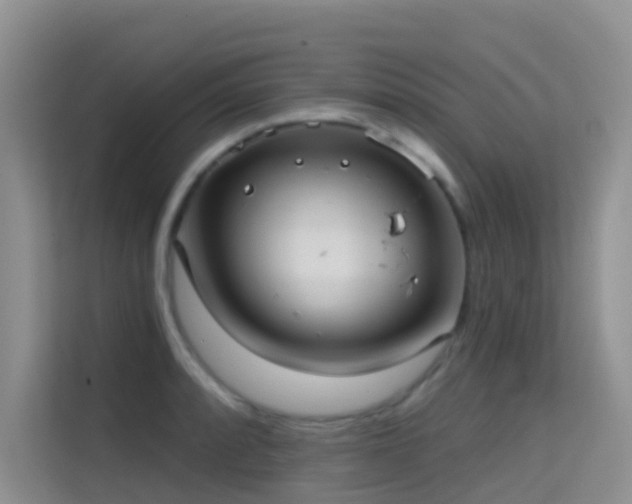 X0000114721088200910211342