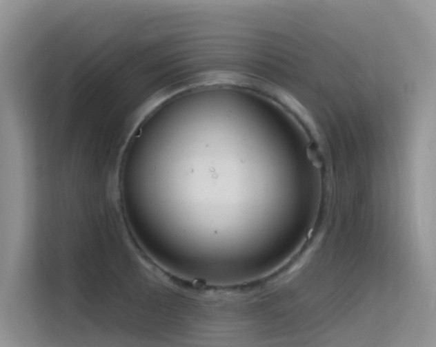 X0000114721089200910211342