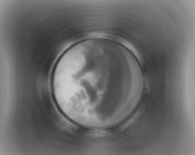 X0000114721090200910211342