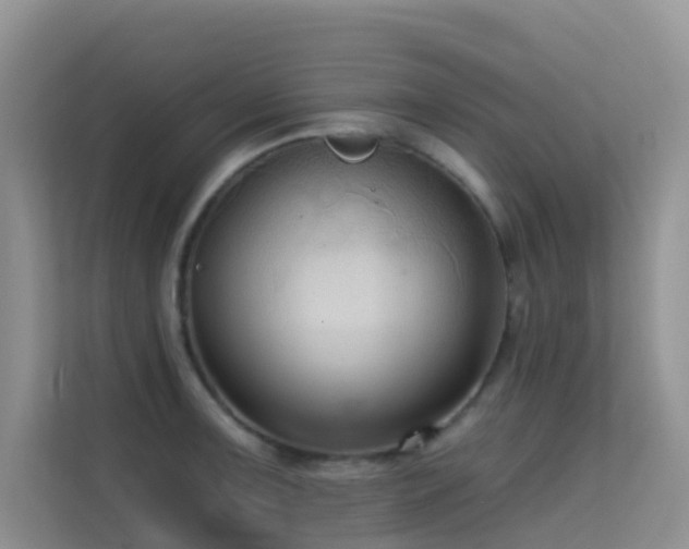 X0000114721091200910211342