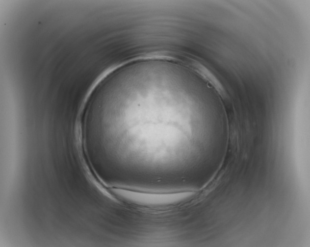 X0000114721092200910211342