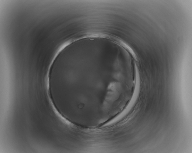 X0000114721095200910211342