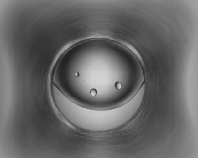 X0000114721096200910211342