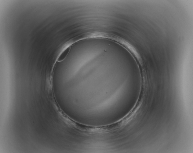 X0000114721097200910211342