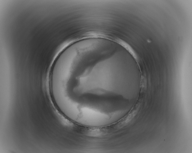 X0000114721098200910211342