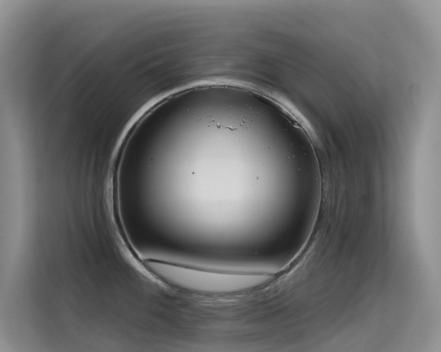 X0000114721100200910211342