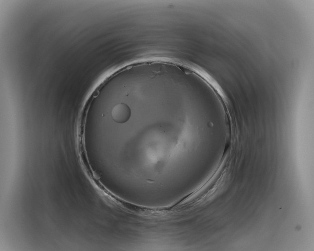 X0000114721101200910211342