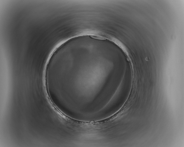 X0000114721104200910211342