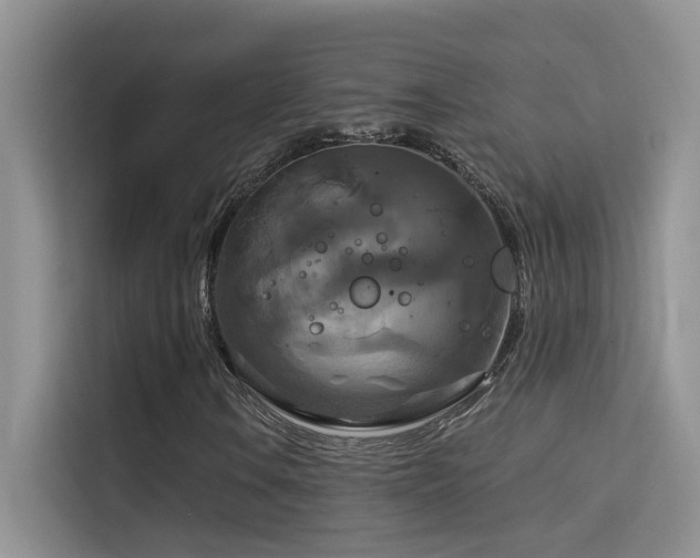 X0000114721106200910211341