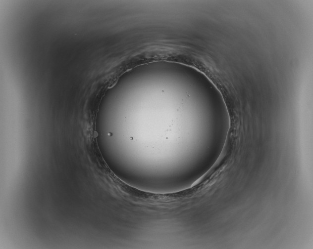 X0000114721109200910211341