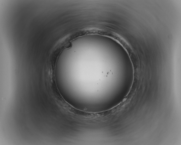 X0000114721111200910211341