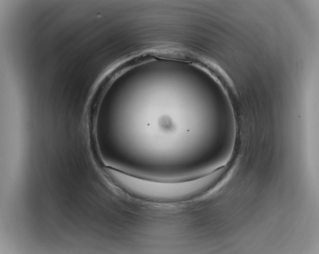 X0000114721114200910211341