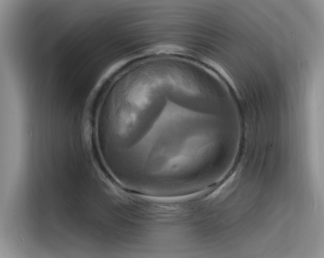 X0000114721115200910211341