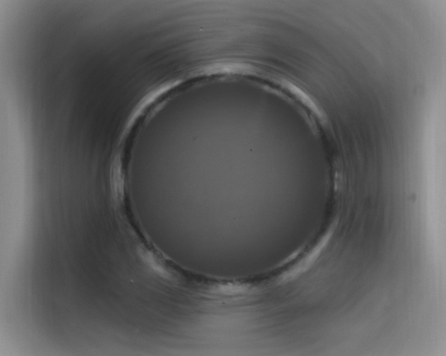 X0000114721117200910211341