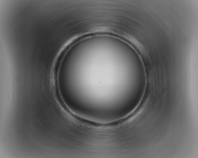 X0000114721118200910211341