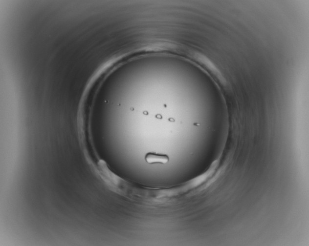 X0000114721122200910211342