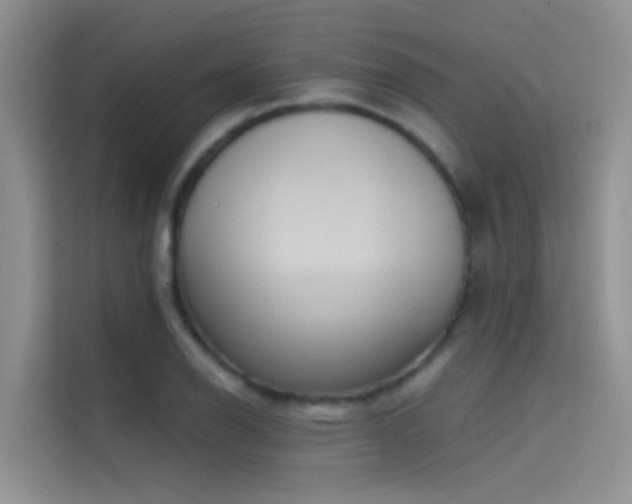 X0000114721126200910211342