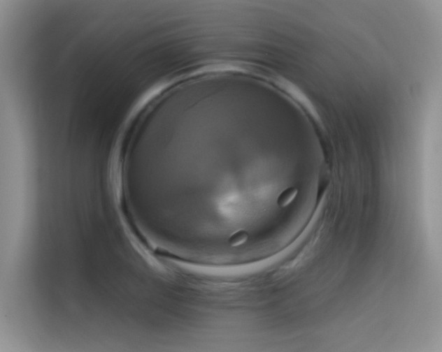 X0000114721127200910211342