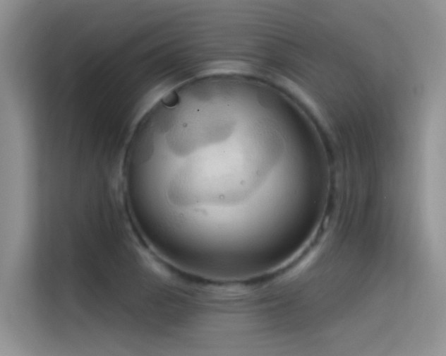 X0000114721129200910211342