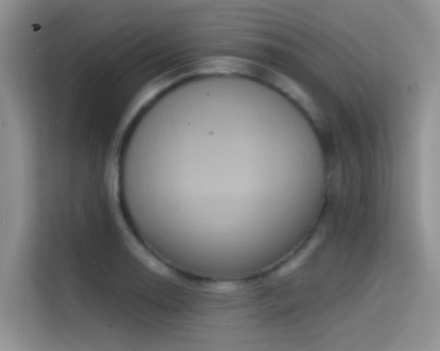 X0000114721130200910211342