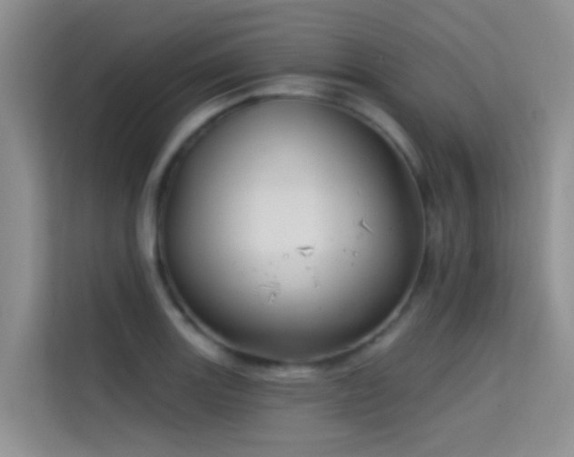 X0000114721131200910211342