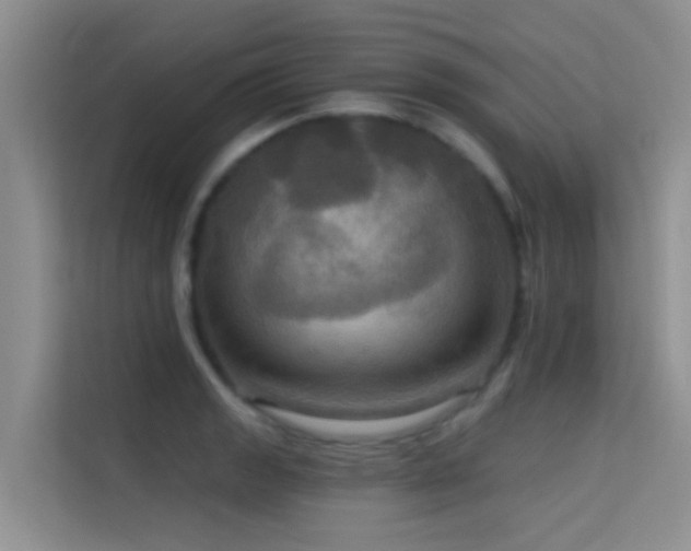 X0000114721133200910211342