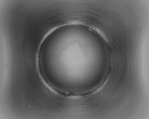 X0000114721134200910211342