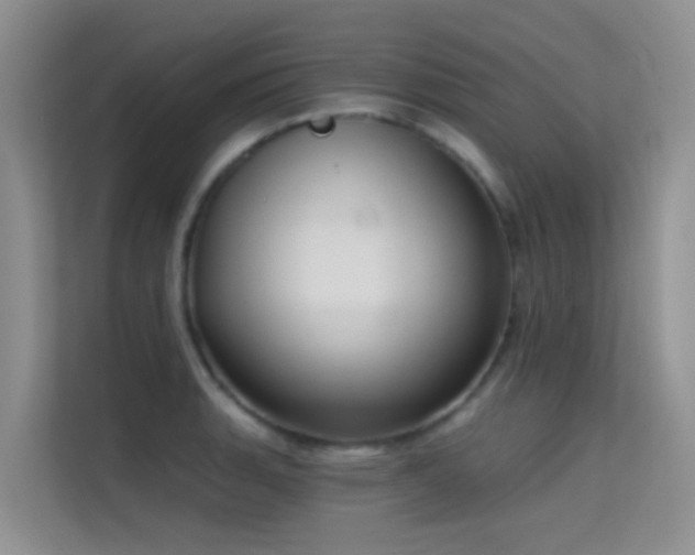 X0000114721135200910211342