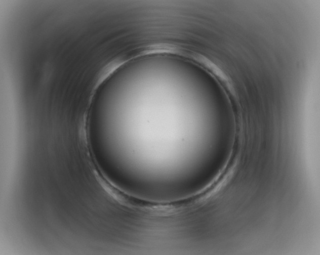 X0000114721137200910211342