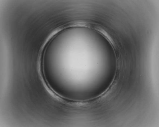 X0000114721139200910211342