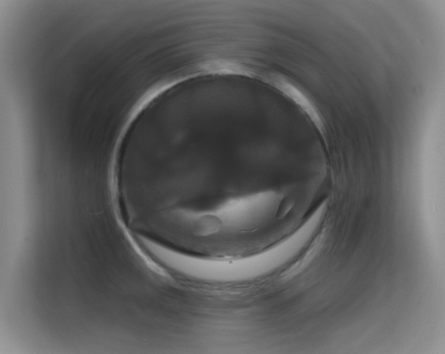 X0000114721141200910211342