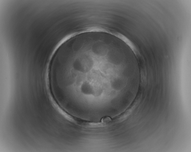 X0000114721142200910211342