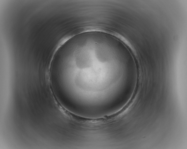 X0000114721145200910211342