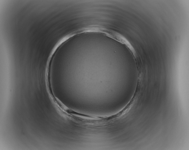 X0000114721146200910211342