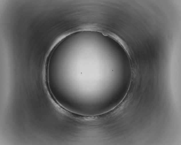 X0000114721147200910211342