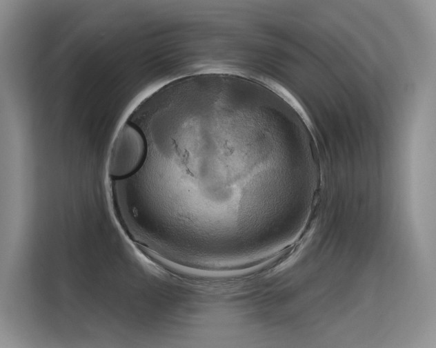 X0000114721149200910211342