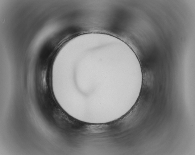 X0000114721150200910211342