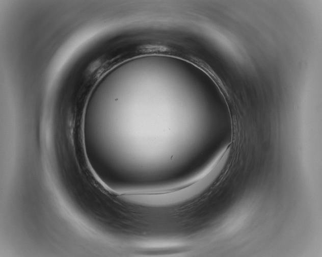 X0000114721151200910211342