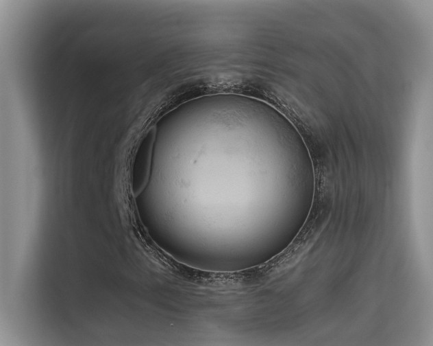 X0000114721153200910211341