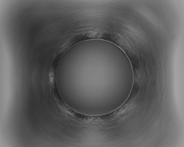 X0000114721154200910211341