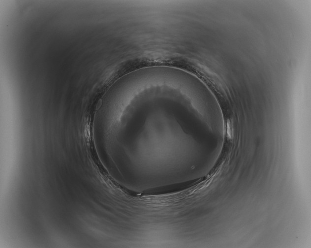 X0000114721155200910211341