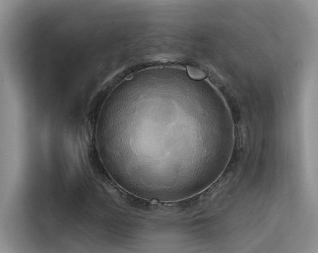 X0000114721158200910211341