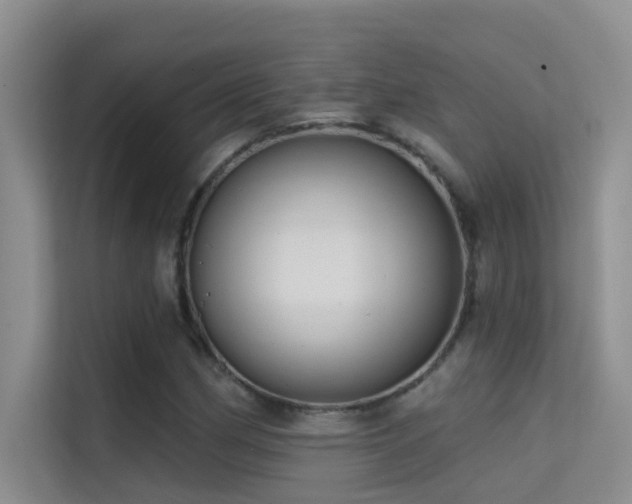 X0000114721162200910211341