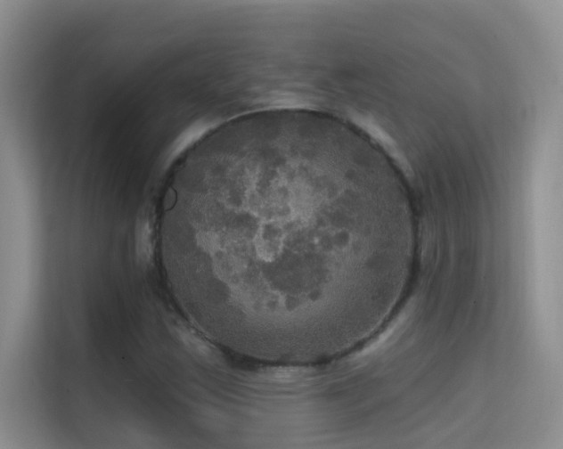 X0000114721163200910211341