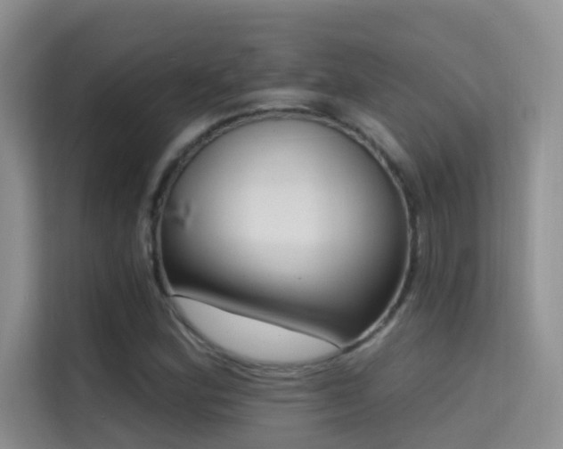 X0000114721164200910211341