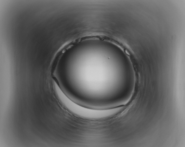 X0000114721165200910211341