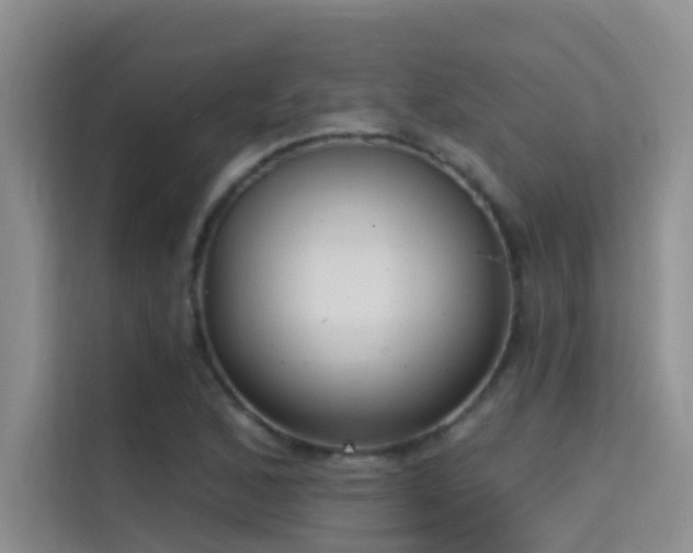 X0000114721168200910211341